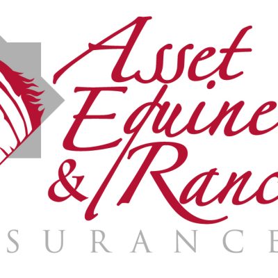 AEI logo rev 4 AEI logo rev 4